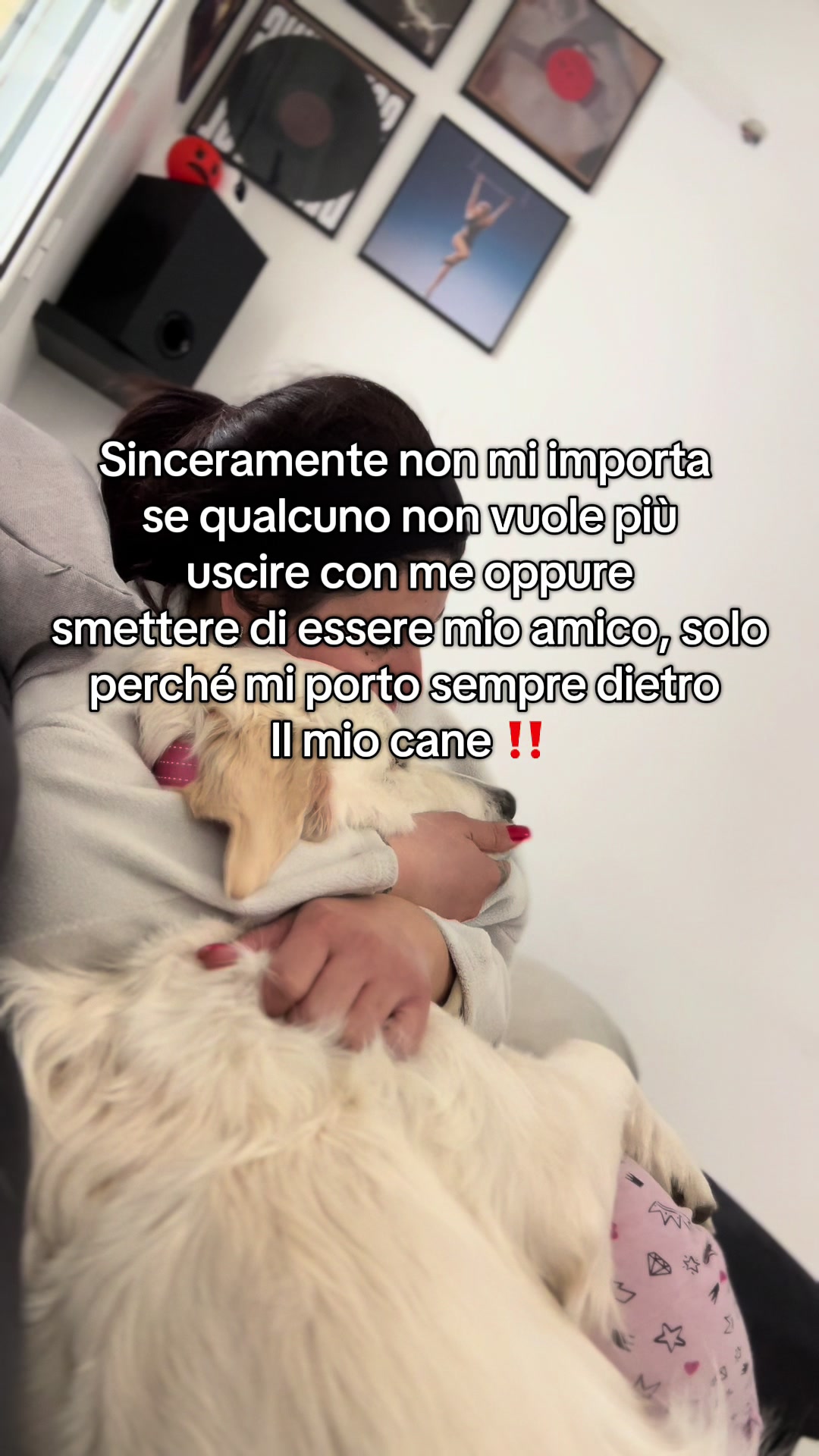 @Golden_OLIVIA.Retriver