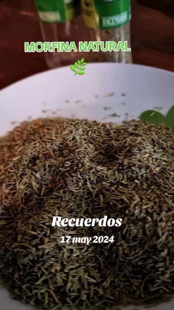 @Aline Medicina Natural🔹️