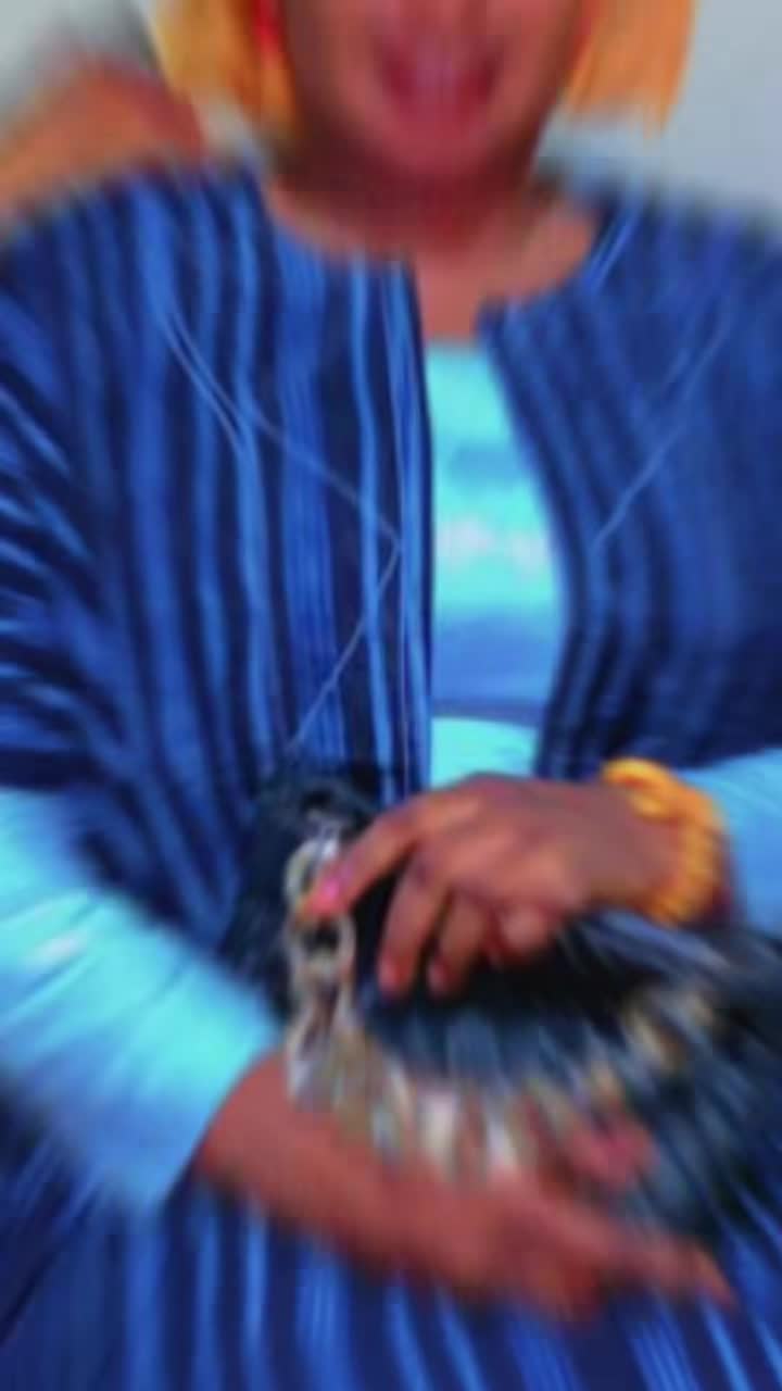 @Mariama Jallow