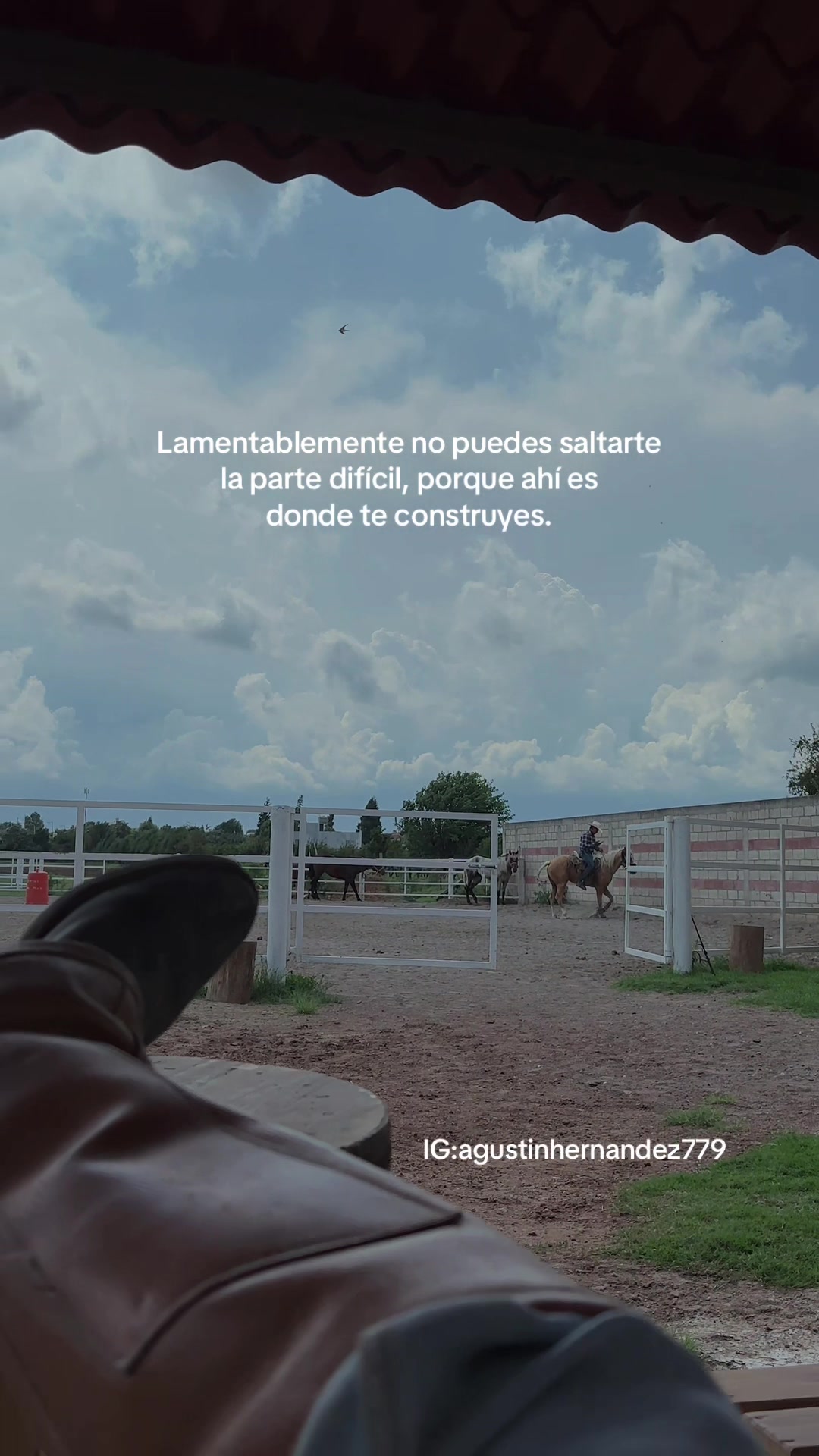 @Agus🩺🐎