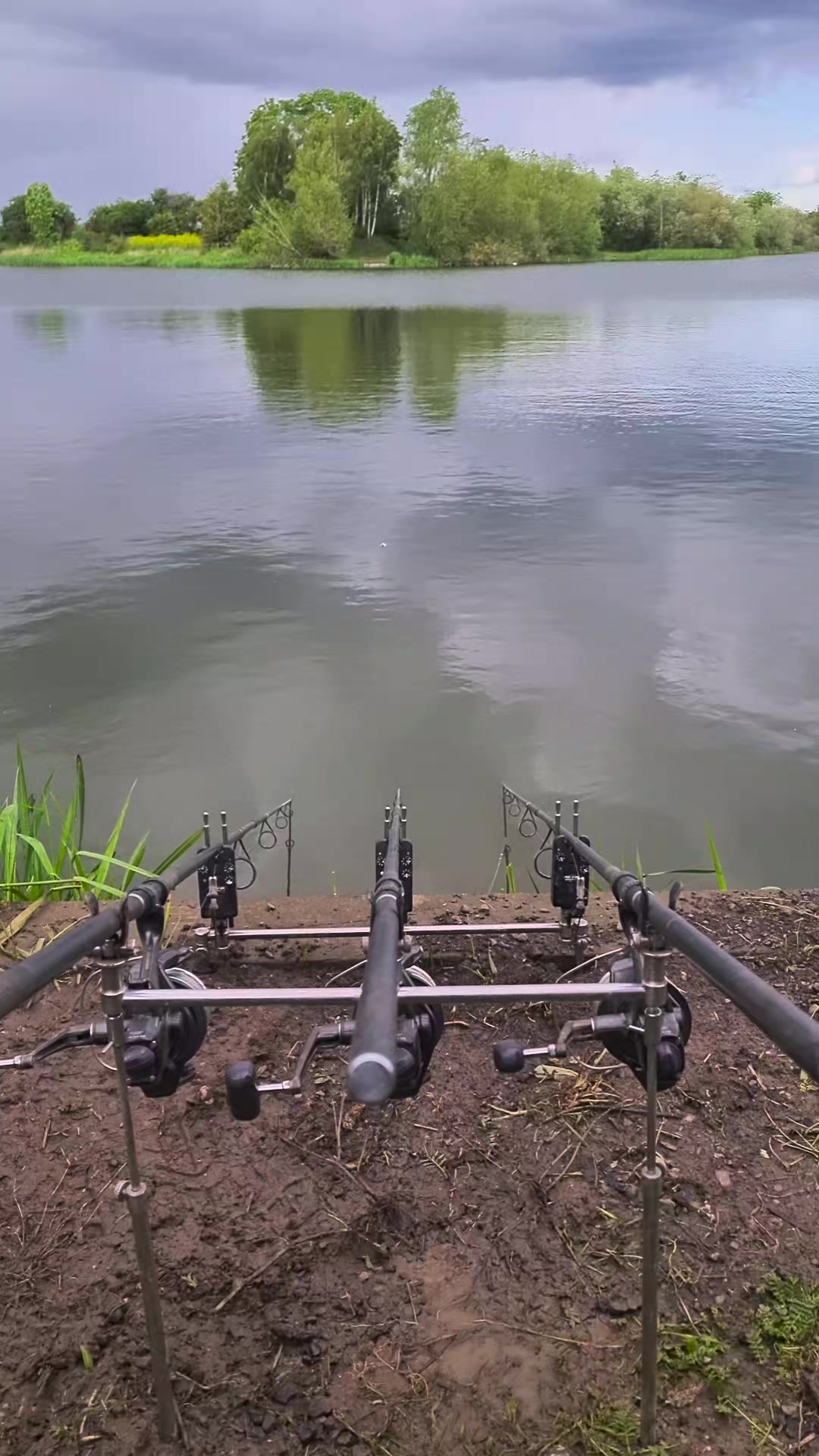 @BIO BAITS