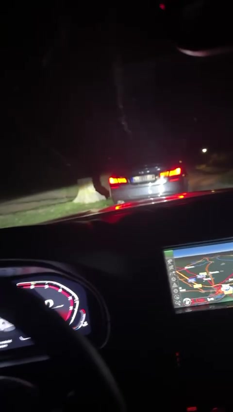 @conne187