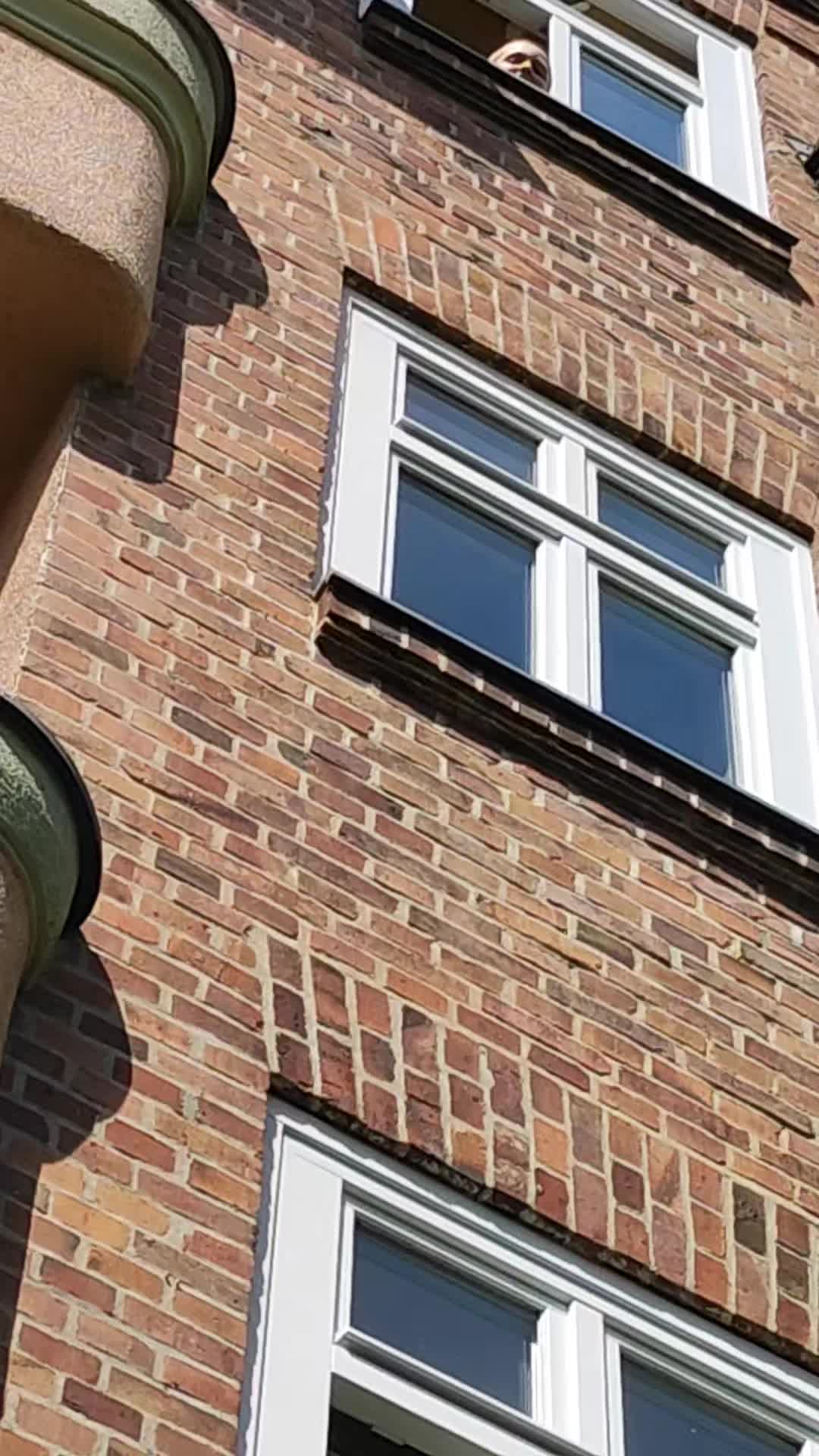 @CB 1993