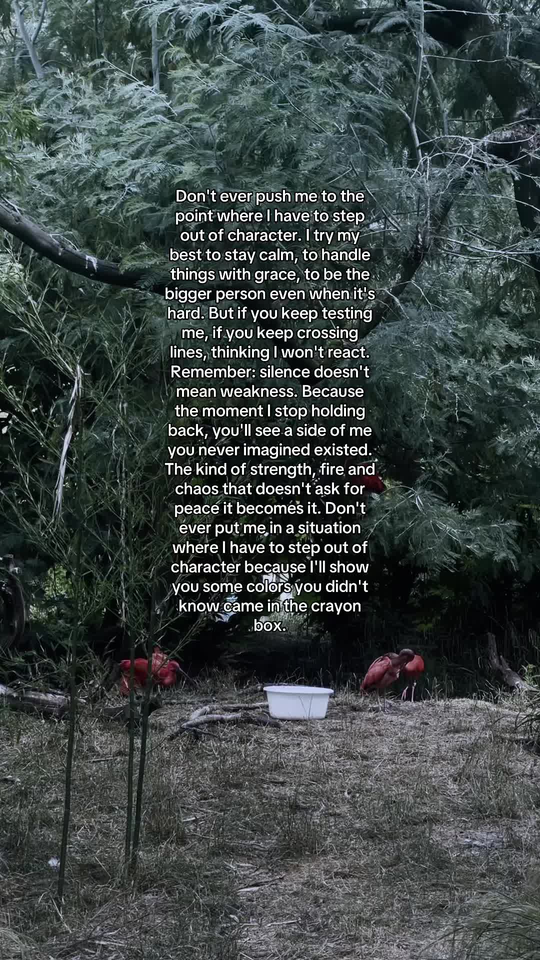 @Dee