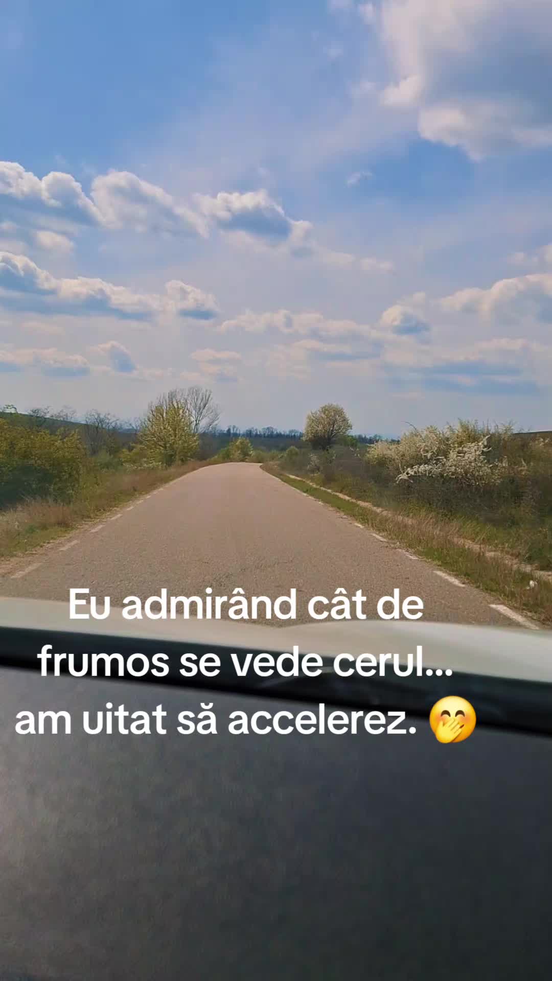 @Cristina Nicolicea