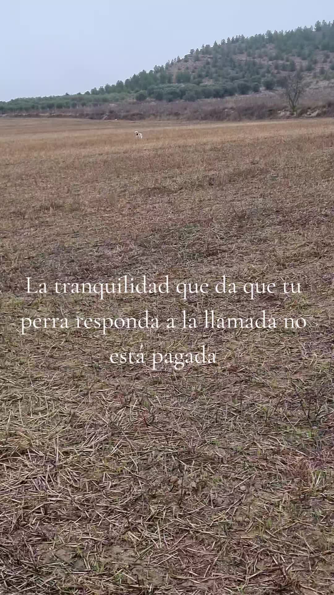 @📚BOOKS📚 Clara Álbori