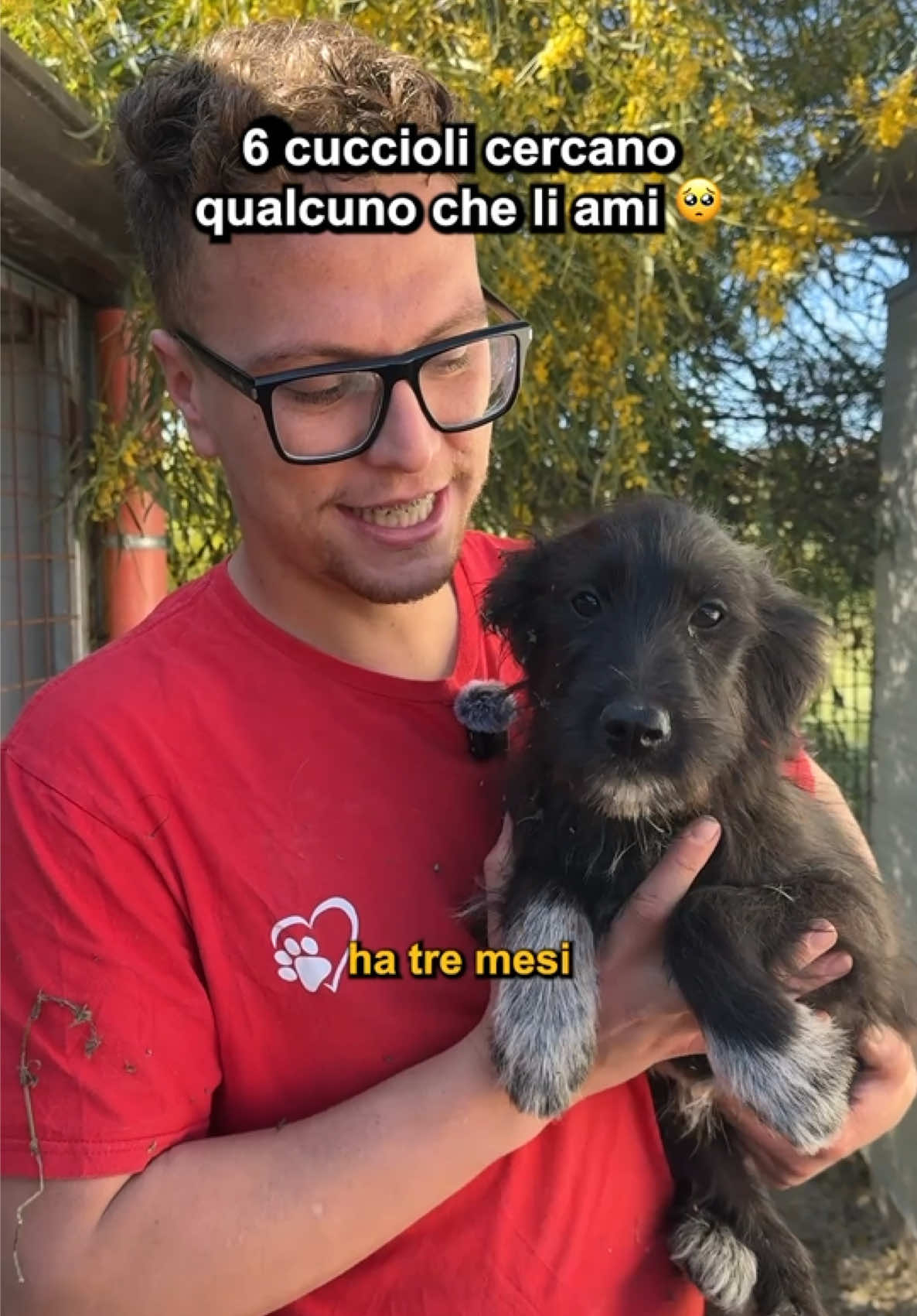 @Doggodaiily