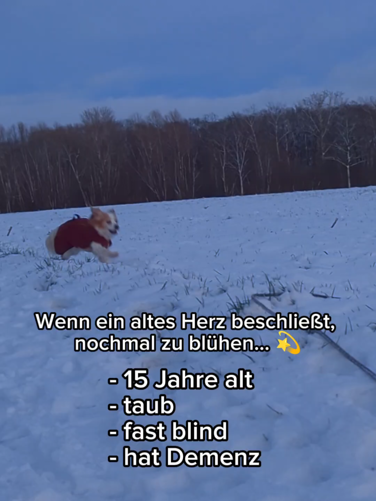 @ꪑⅈꪶꪖ ꪑꪮꪀᥴꫝꫝⅈᥴꫝⅈ