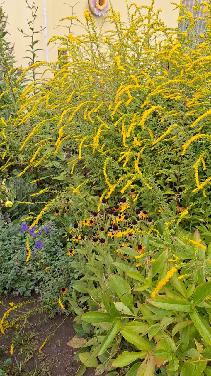 @Natur und Garten