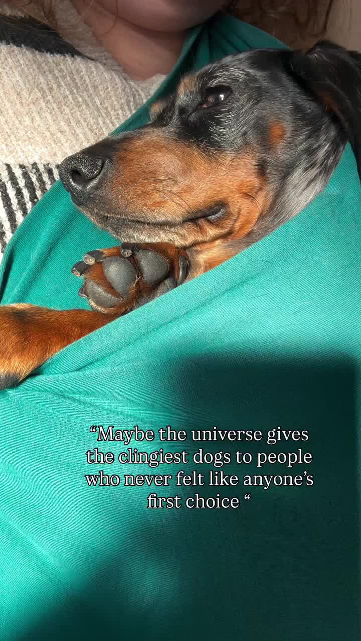 @dibblydobbly_dax