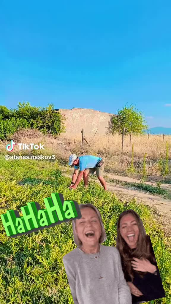 @Danette@2019