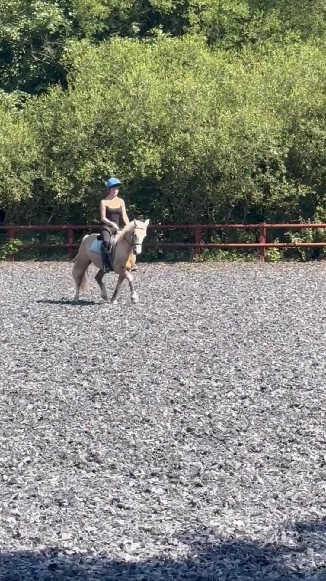 @amelia_showjumping2