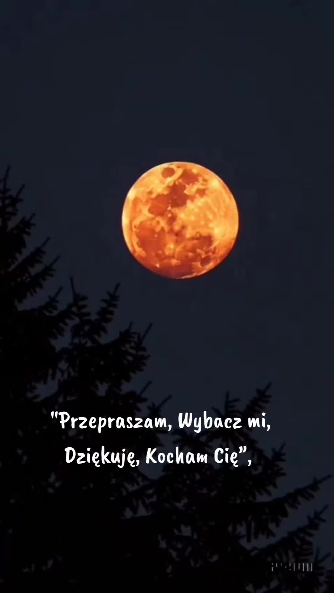 @🤍...Żyła długo i świadomie ✨