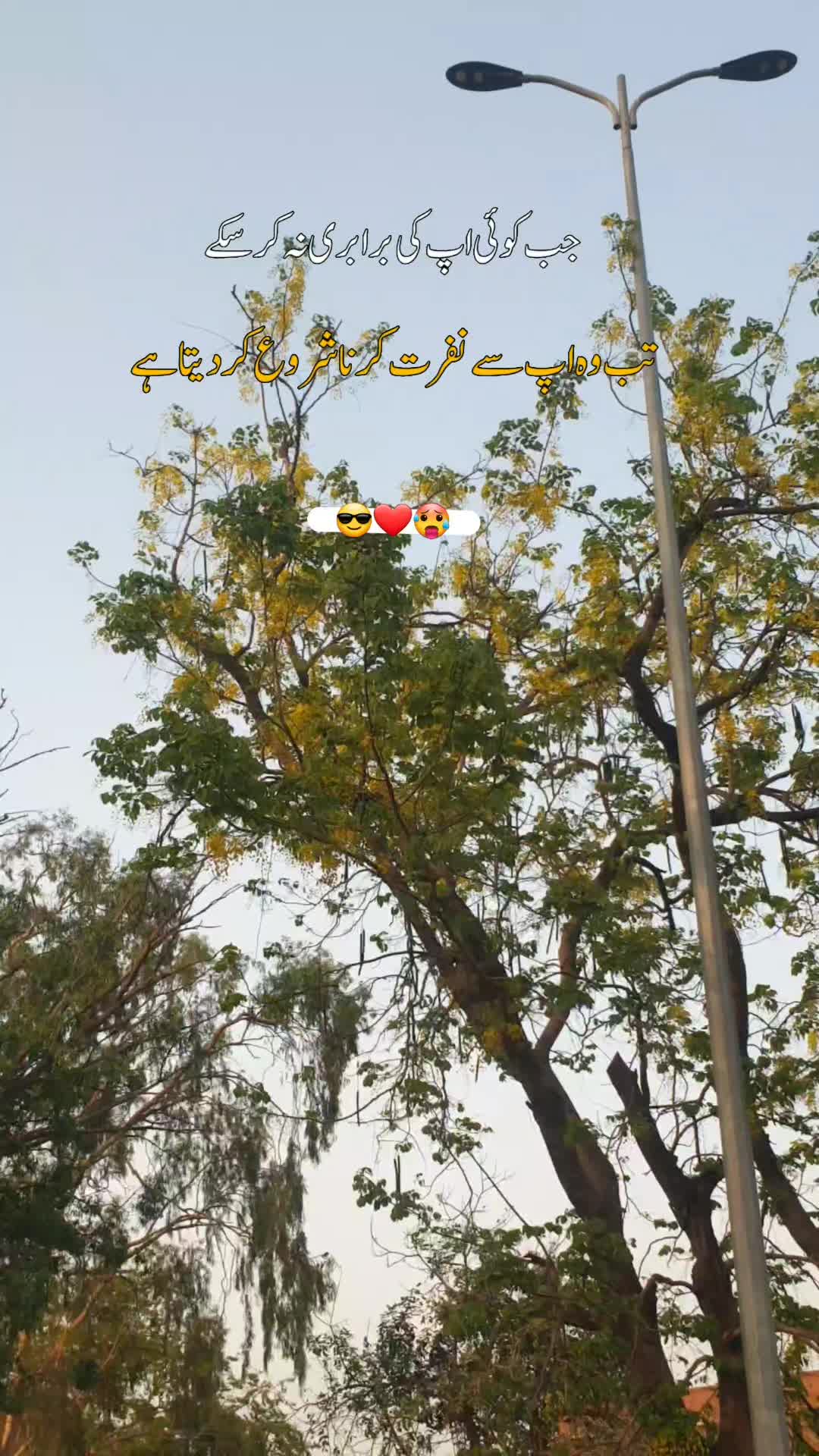 @poetry_lover
