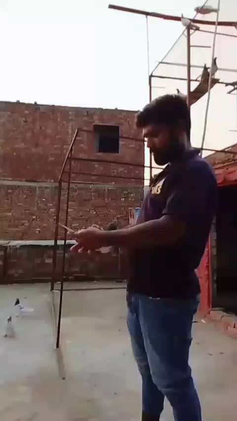 @Golu😈😎