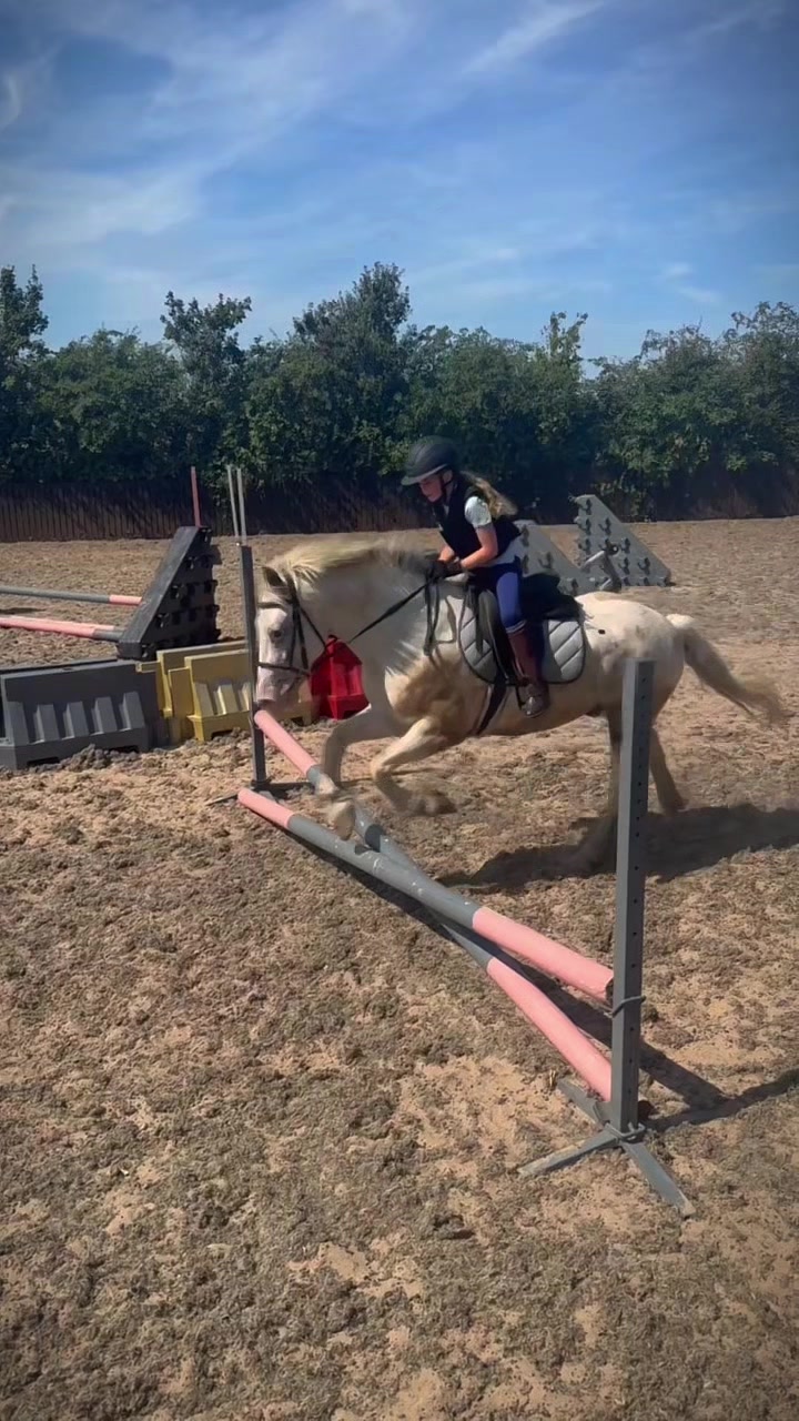 @LottiesHorseAdventures🦄🐴