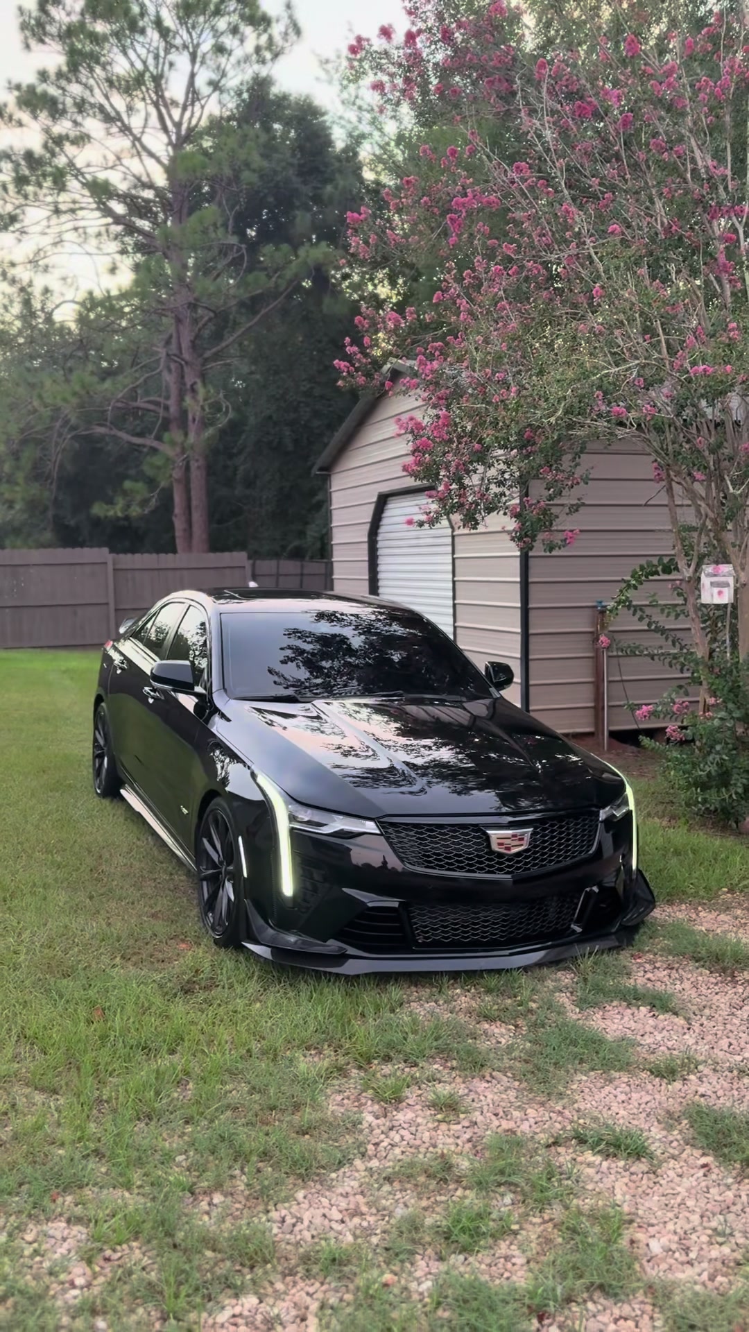 @blackoutt.v 🦇