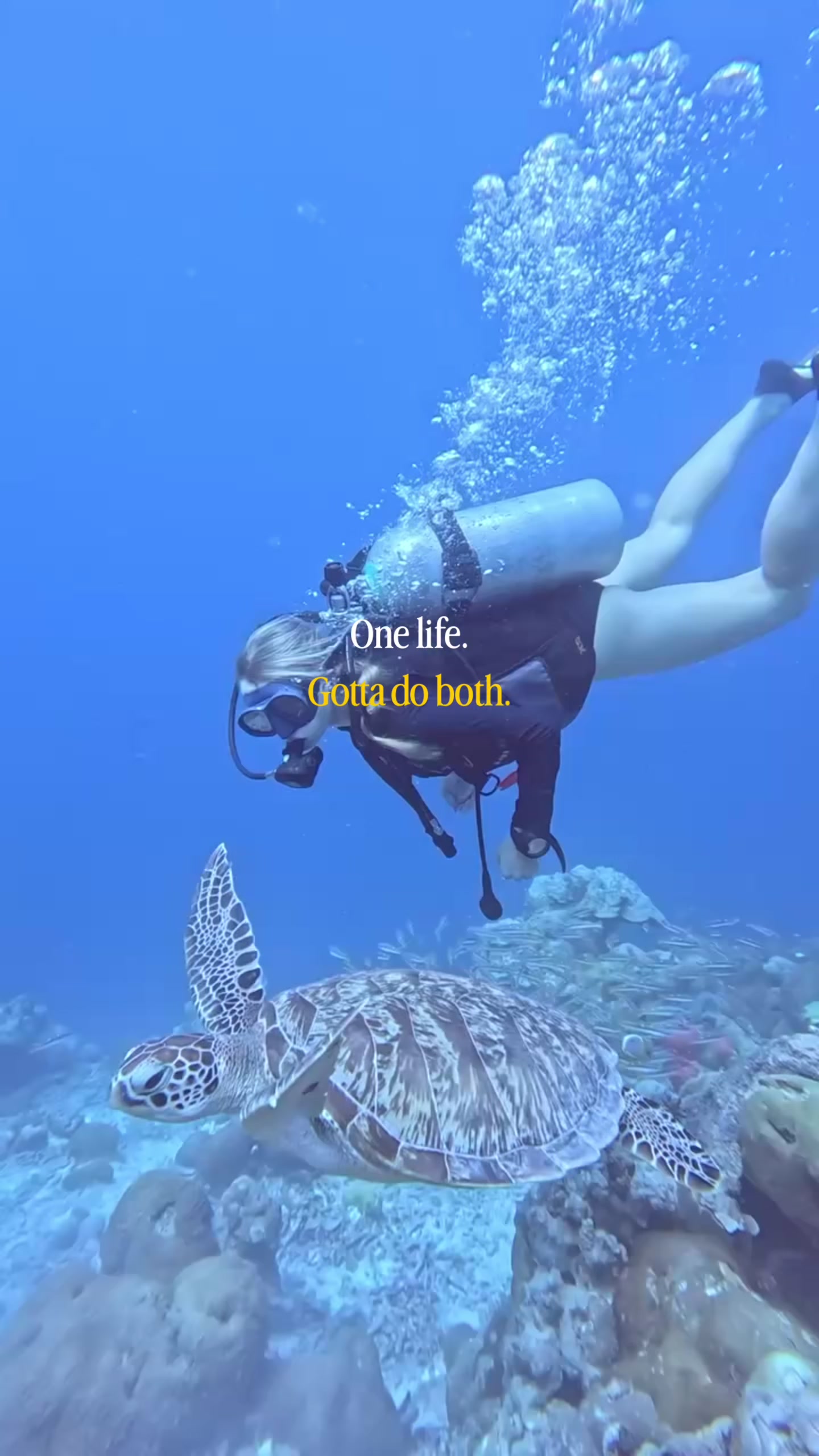 @LARA