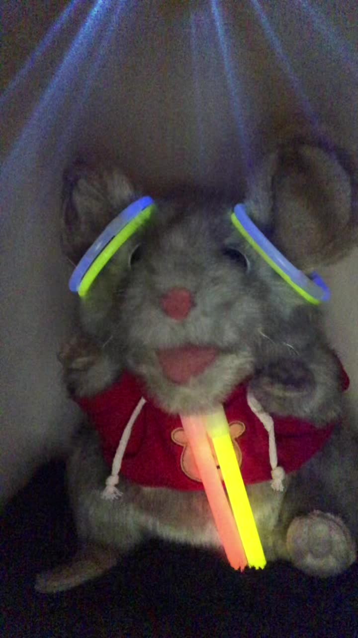 @mozzythemouse