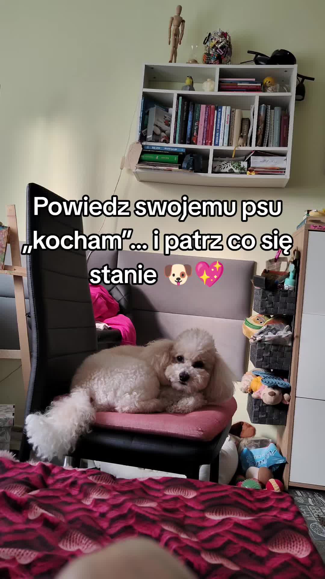 @Marli Marla