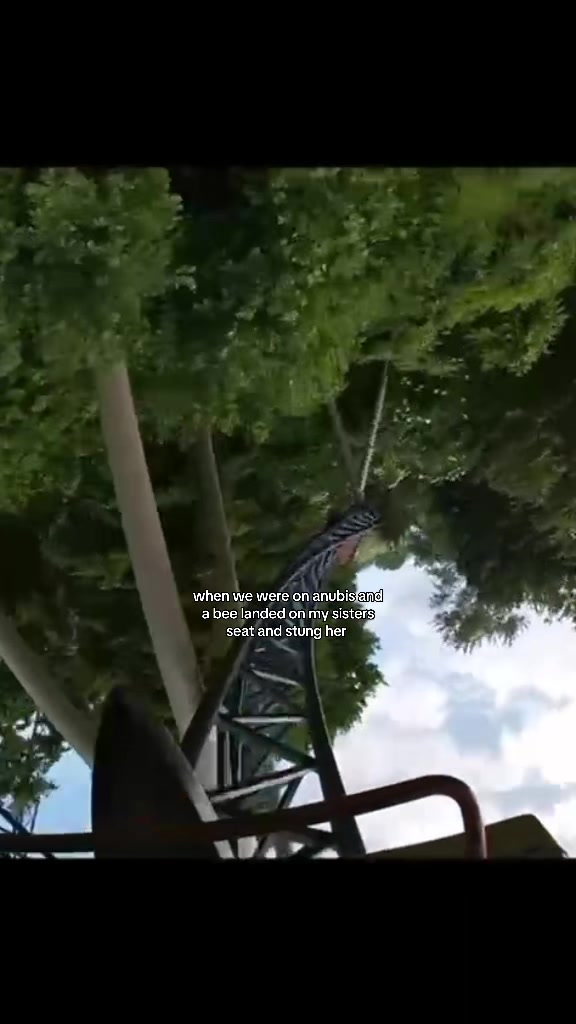 @𝓜𝓮𝓰𝓪𝓷 🎢