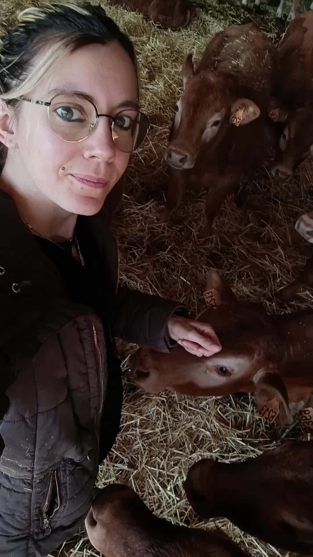 @Ludivine 🐶🐮