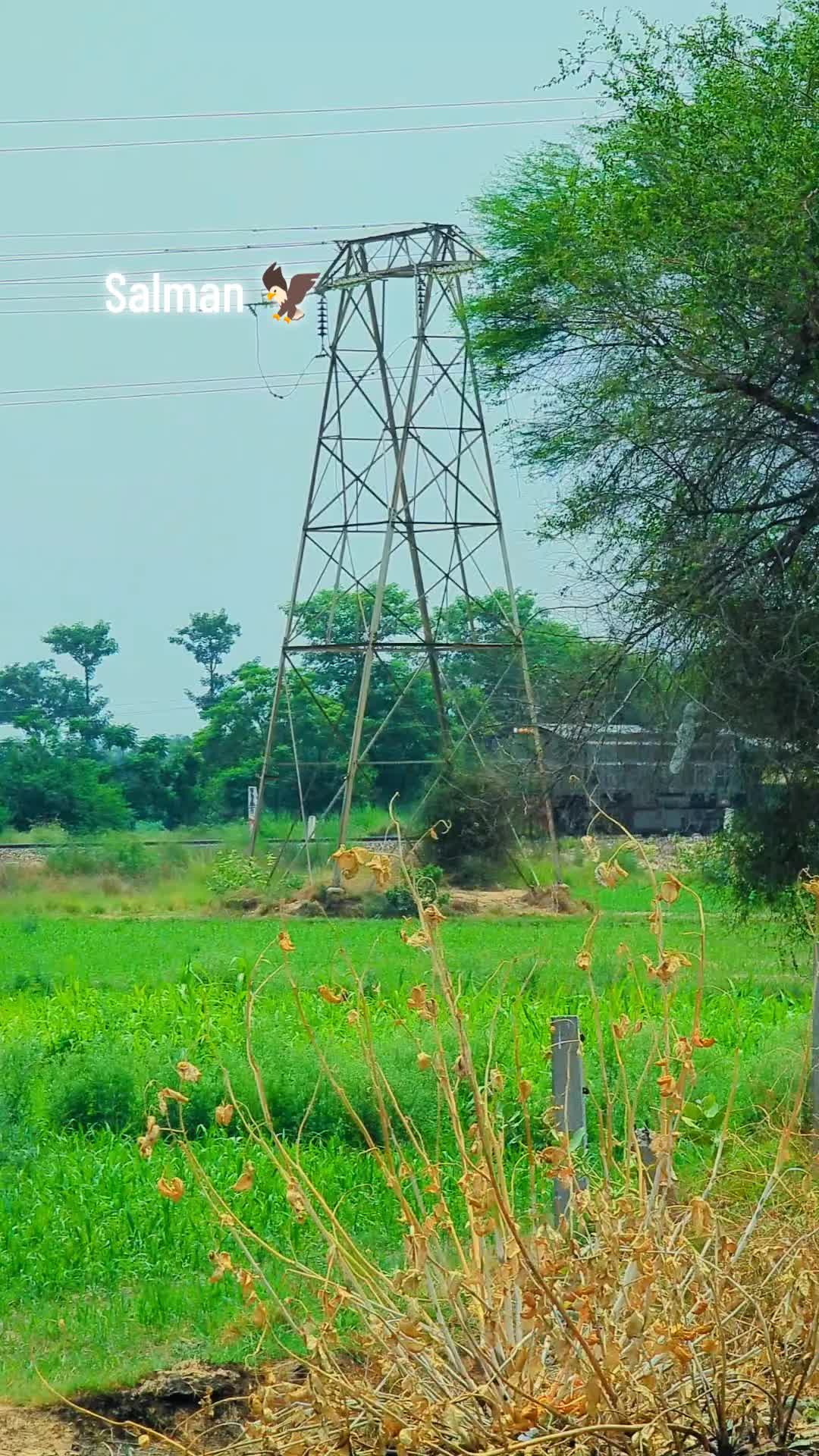 @Salman 🦅