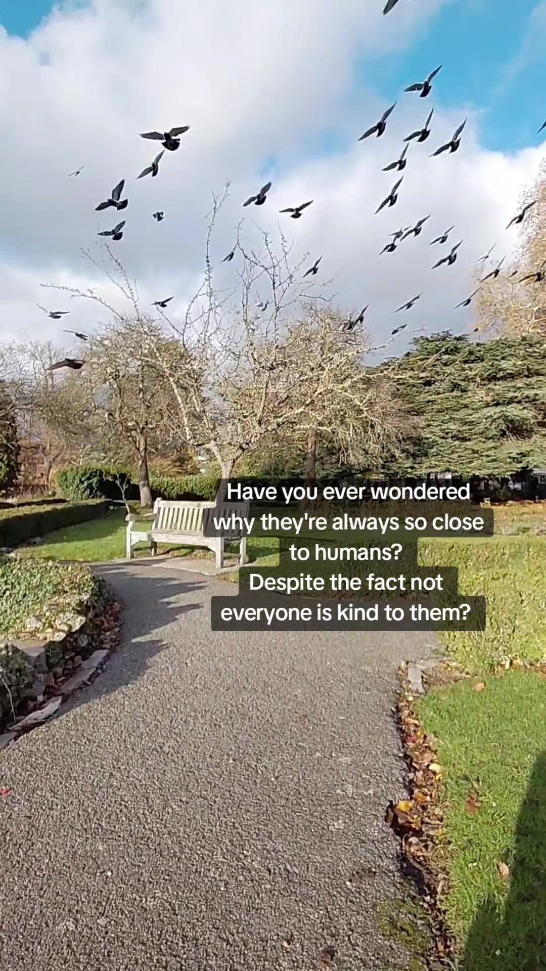 @Emma Bearman♋️