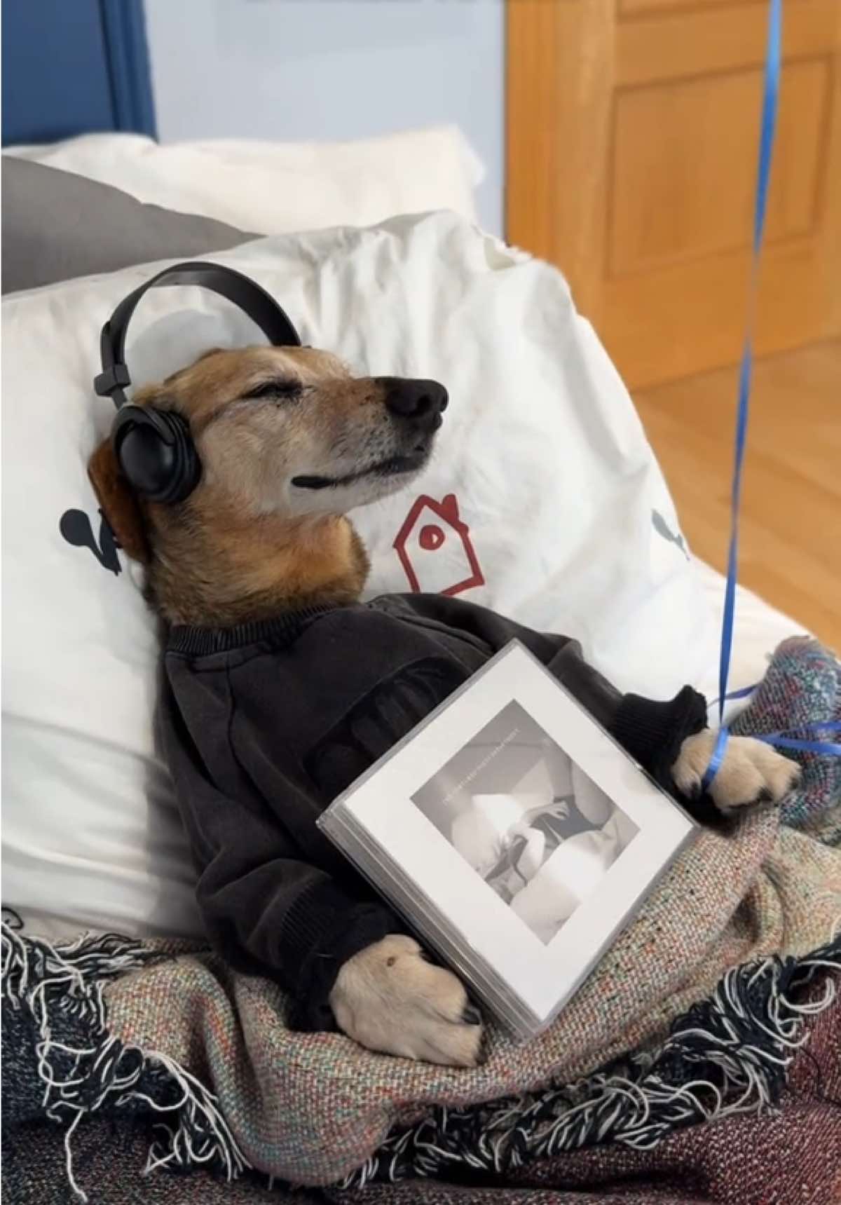 @Lucas The Dog