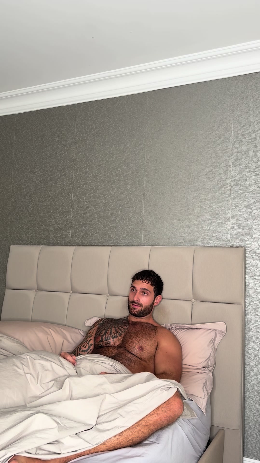 @vannllex