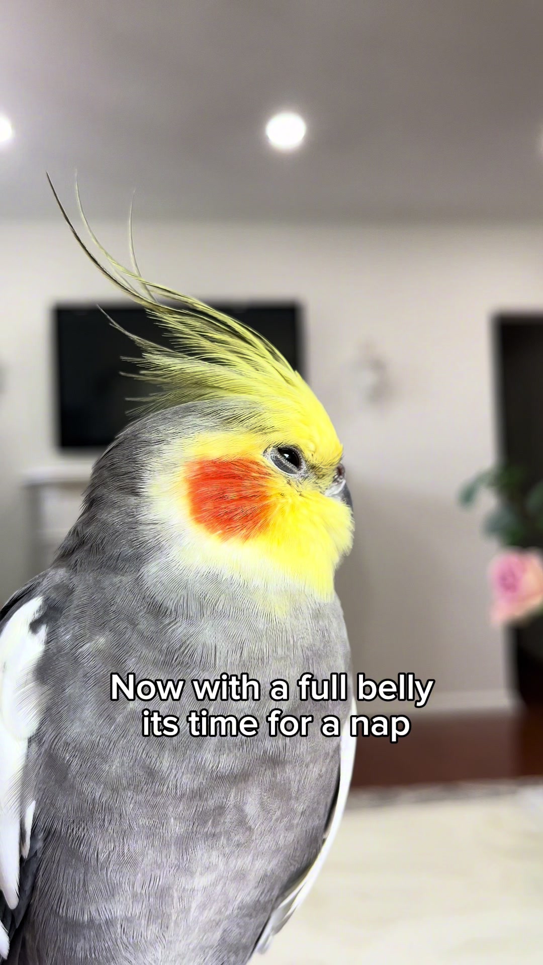 @Emery The Branch Manager