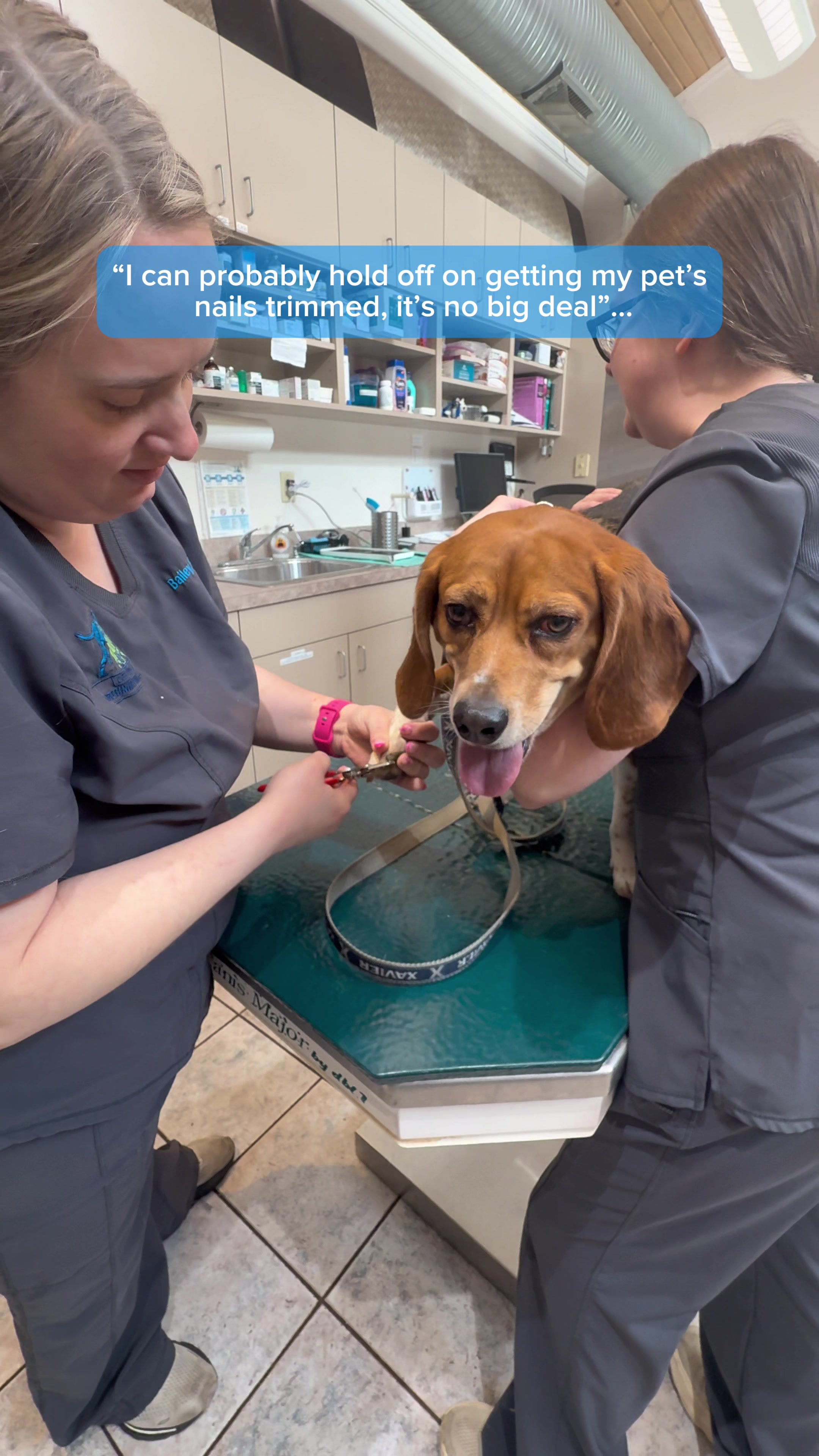 @Deer Park Veterinary Hospital