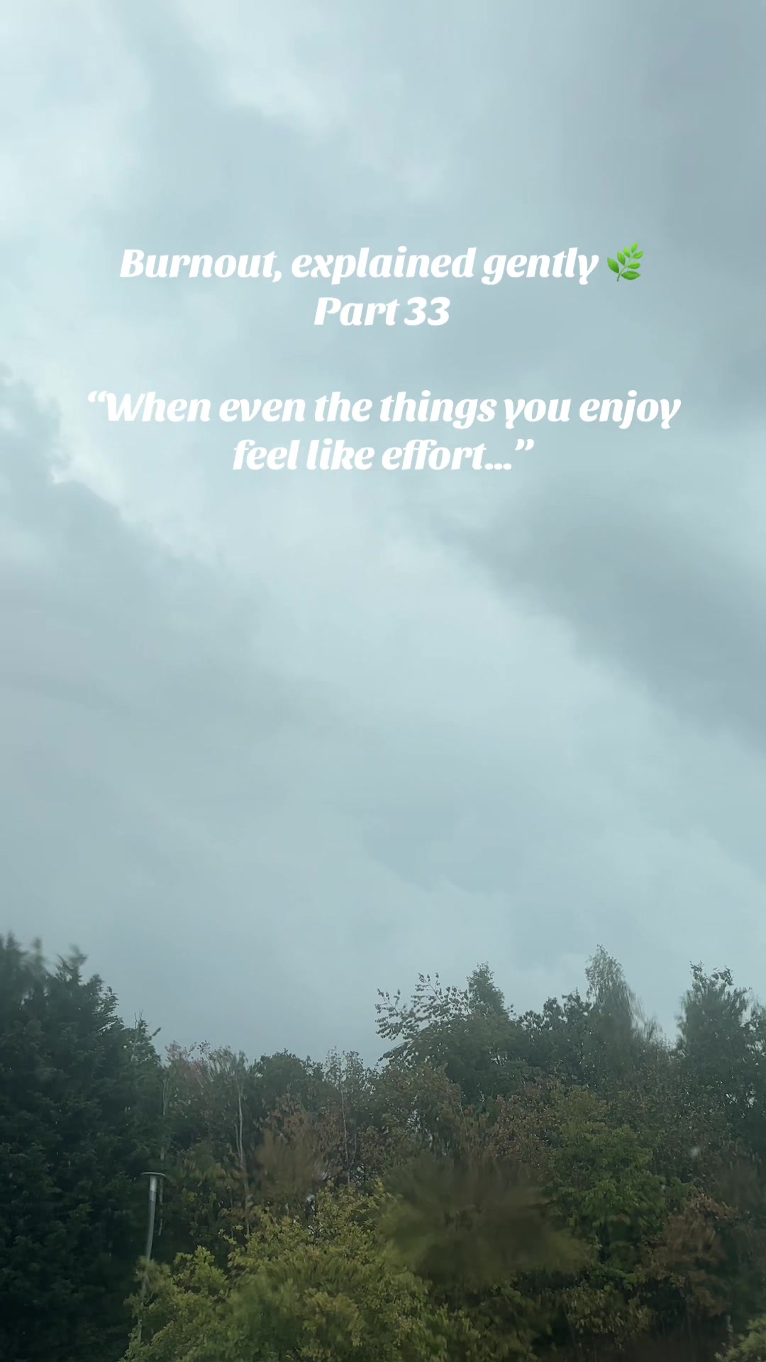 @thequietyou