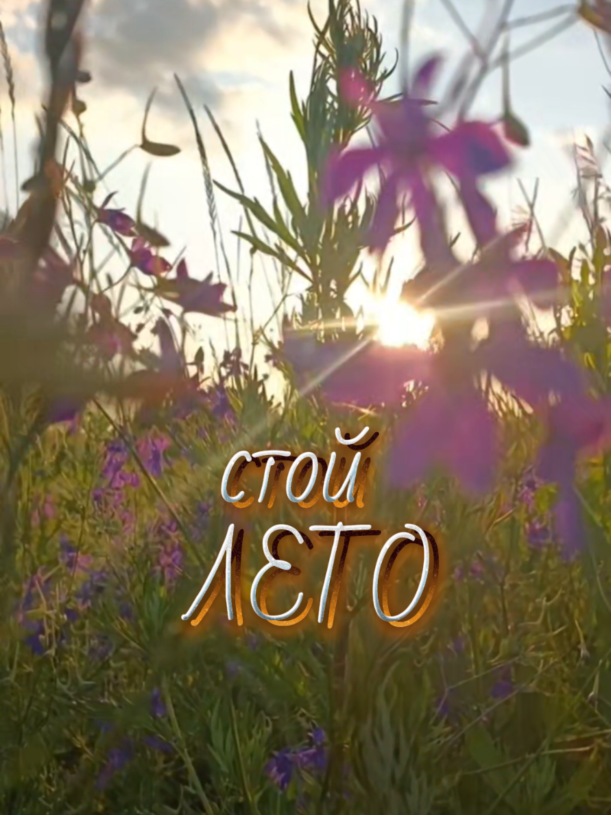@✨Елена✨