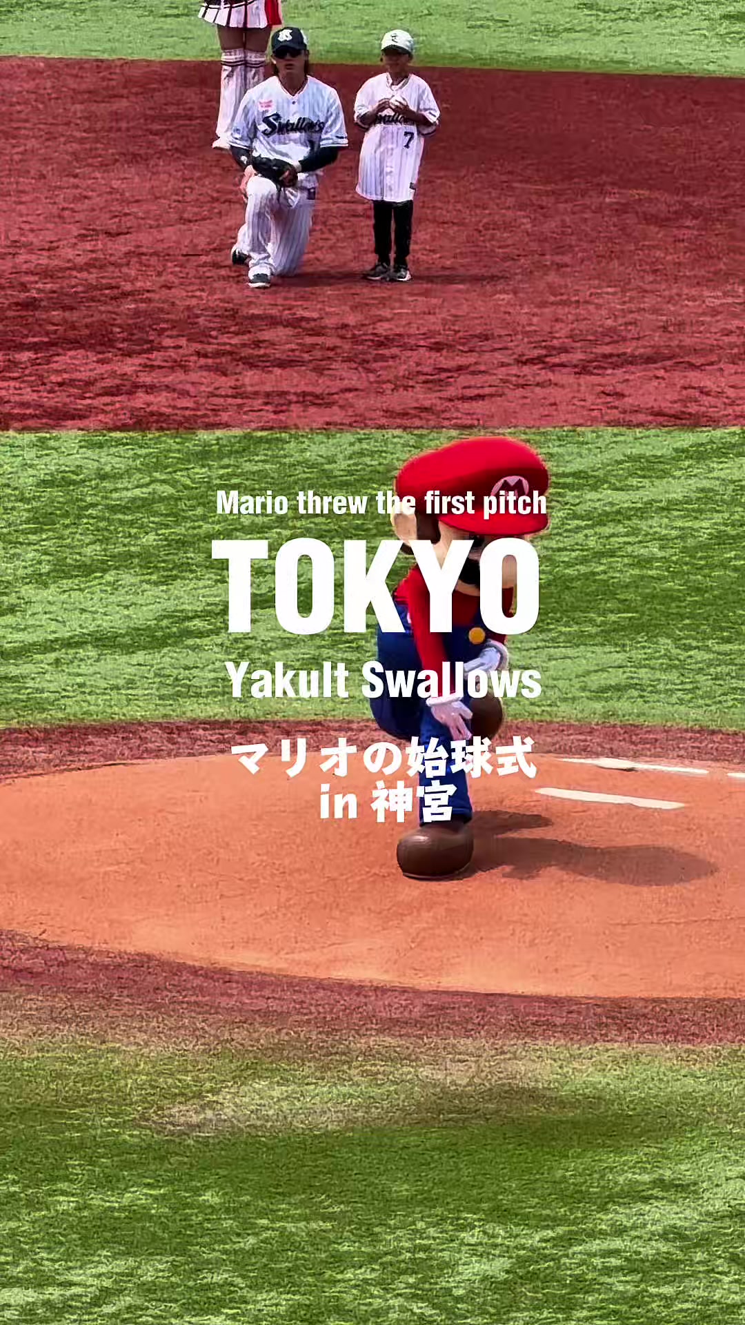 @のらよ🏮Norayo