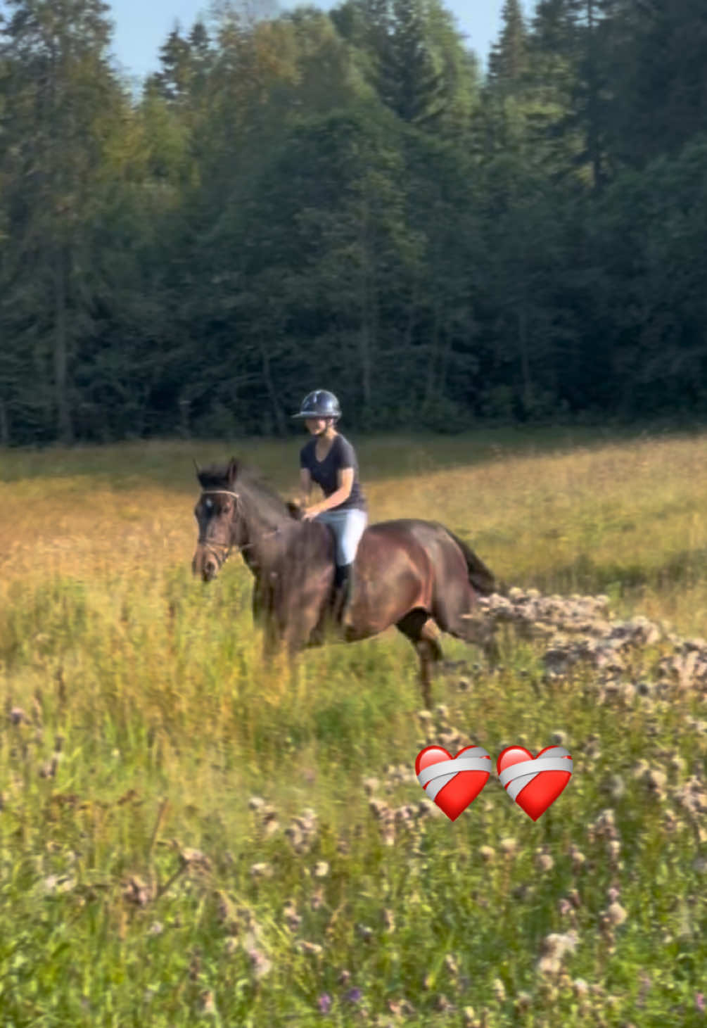@hedda.equi