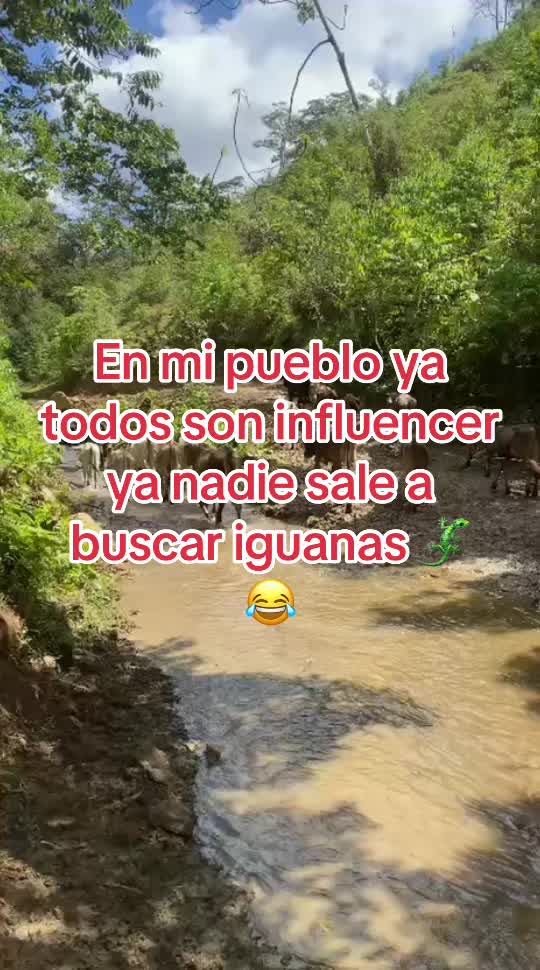 @Gaby herrera
