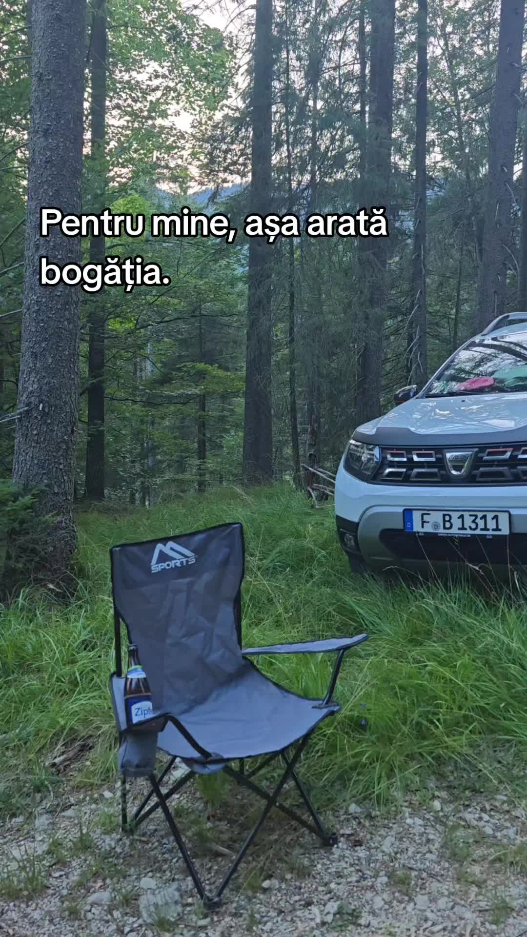 @ionuthabuc_duster_fan