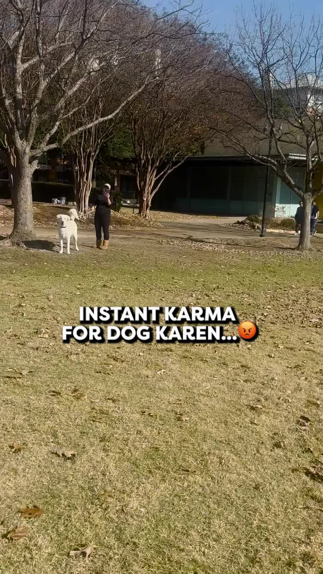 @Go Fetch