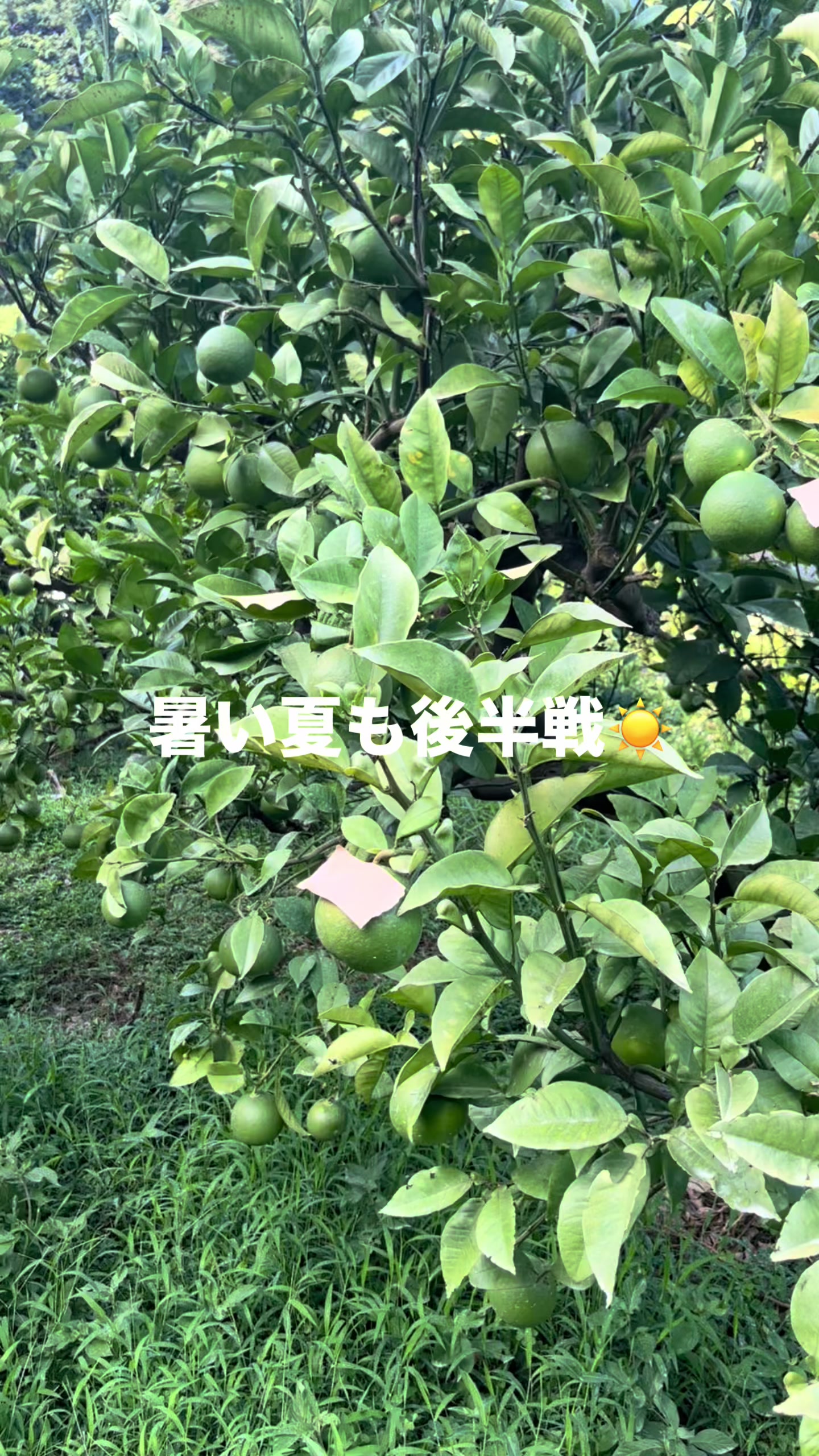@ã¶ãããðð«