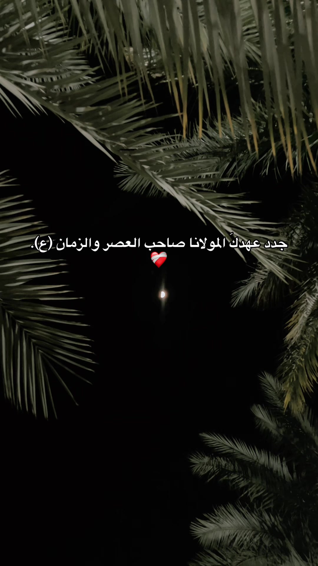 @أمنيات فاطمية 🩵🦋