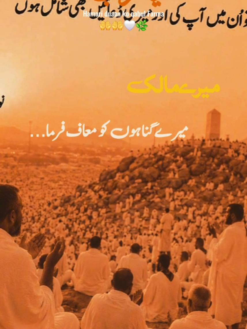@Allah hu akbar