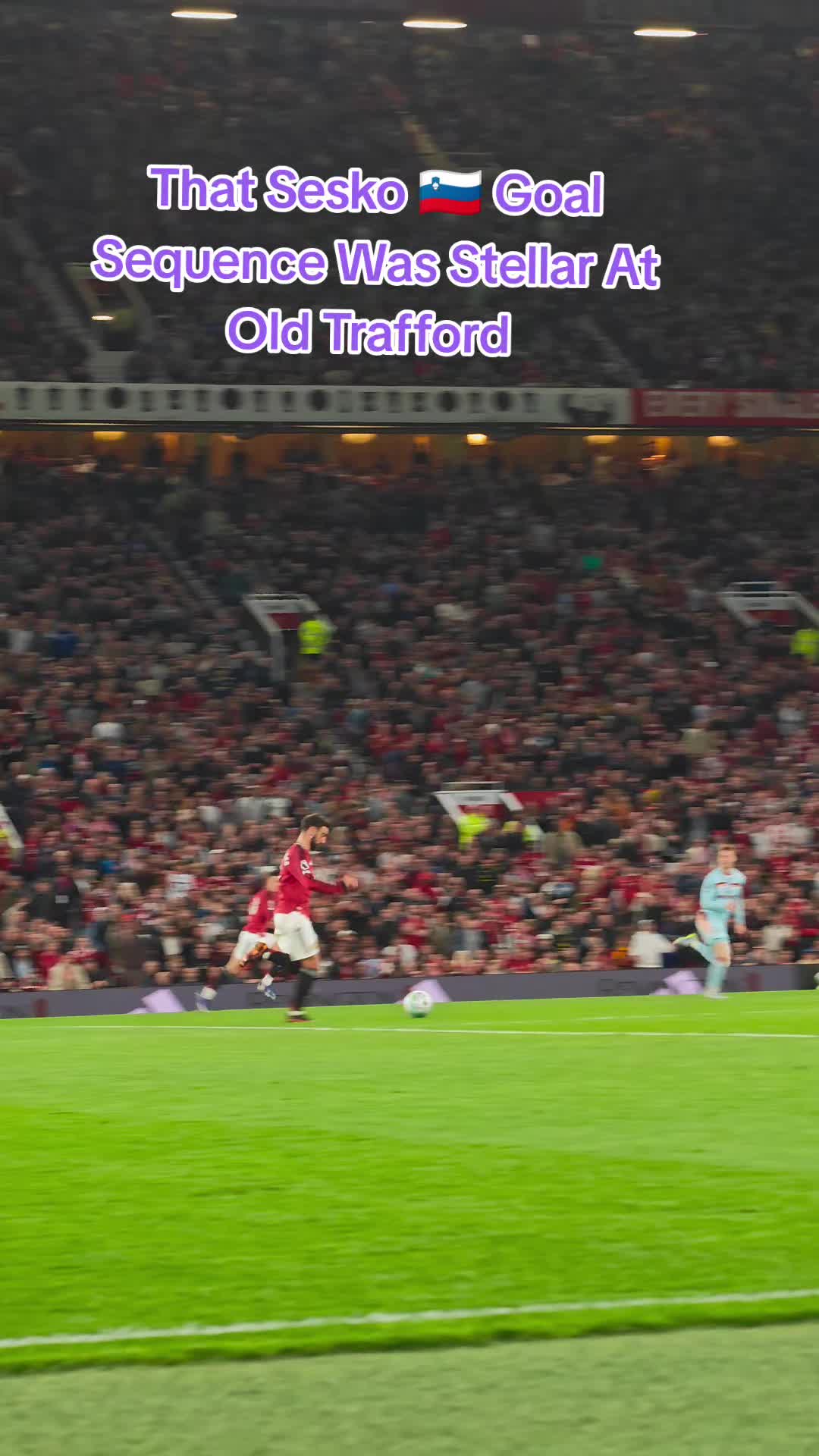 @Manchester United Dugout