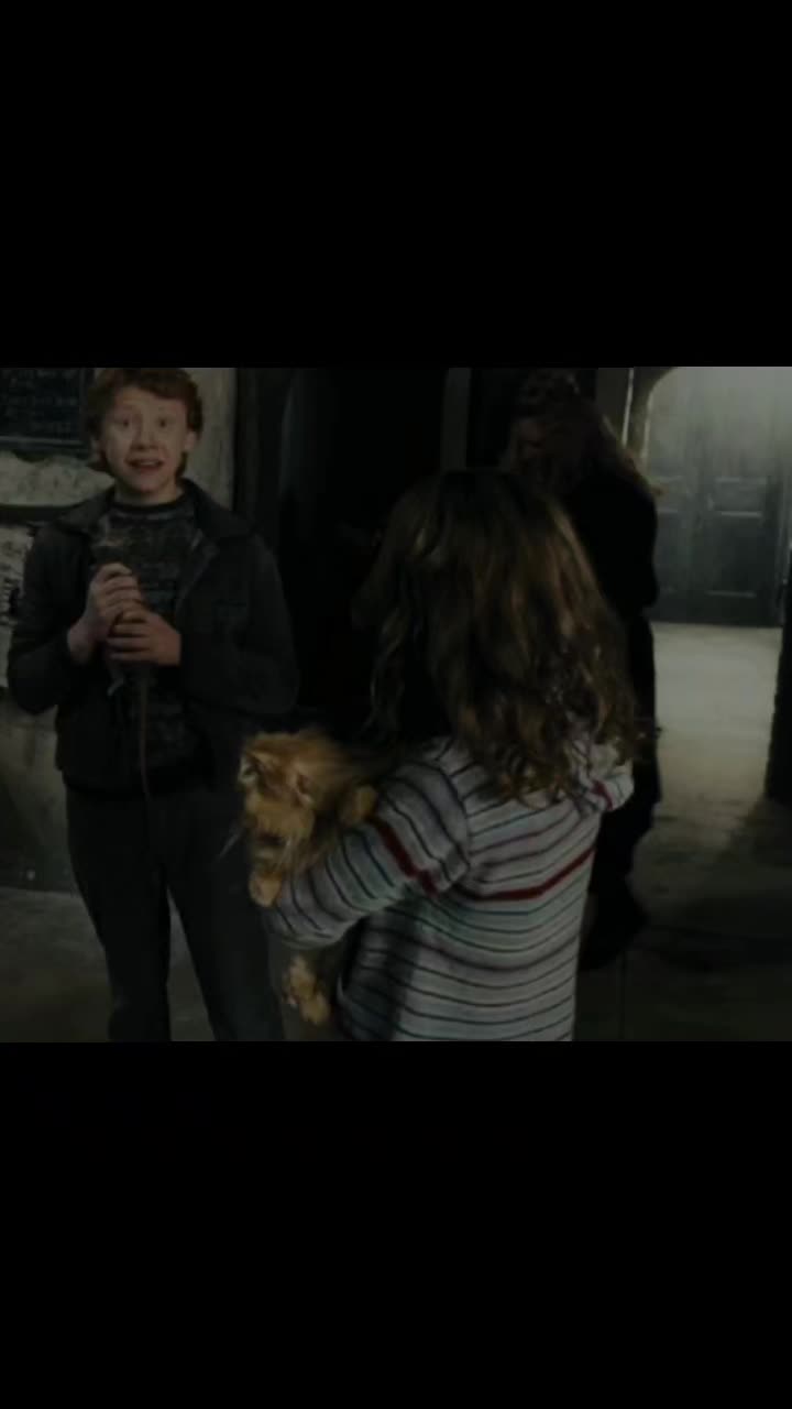 @harrypotterfan8507