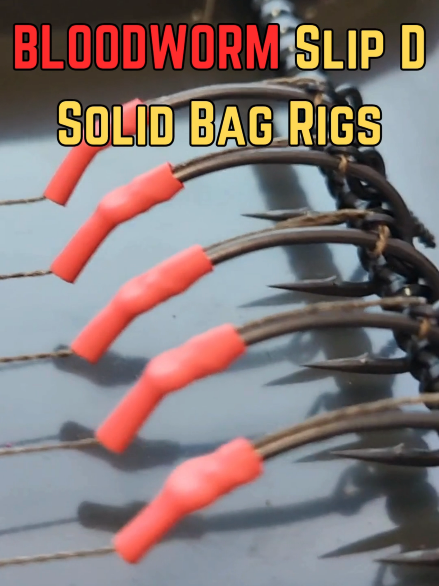 @Thats Carpy Rigs