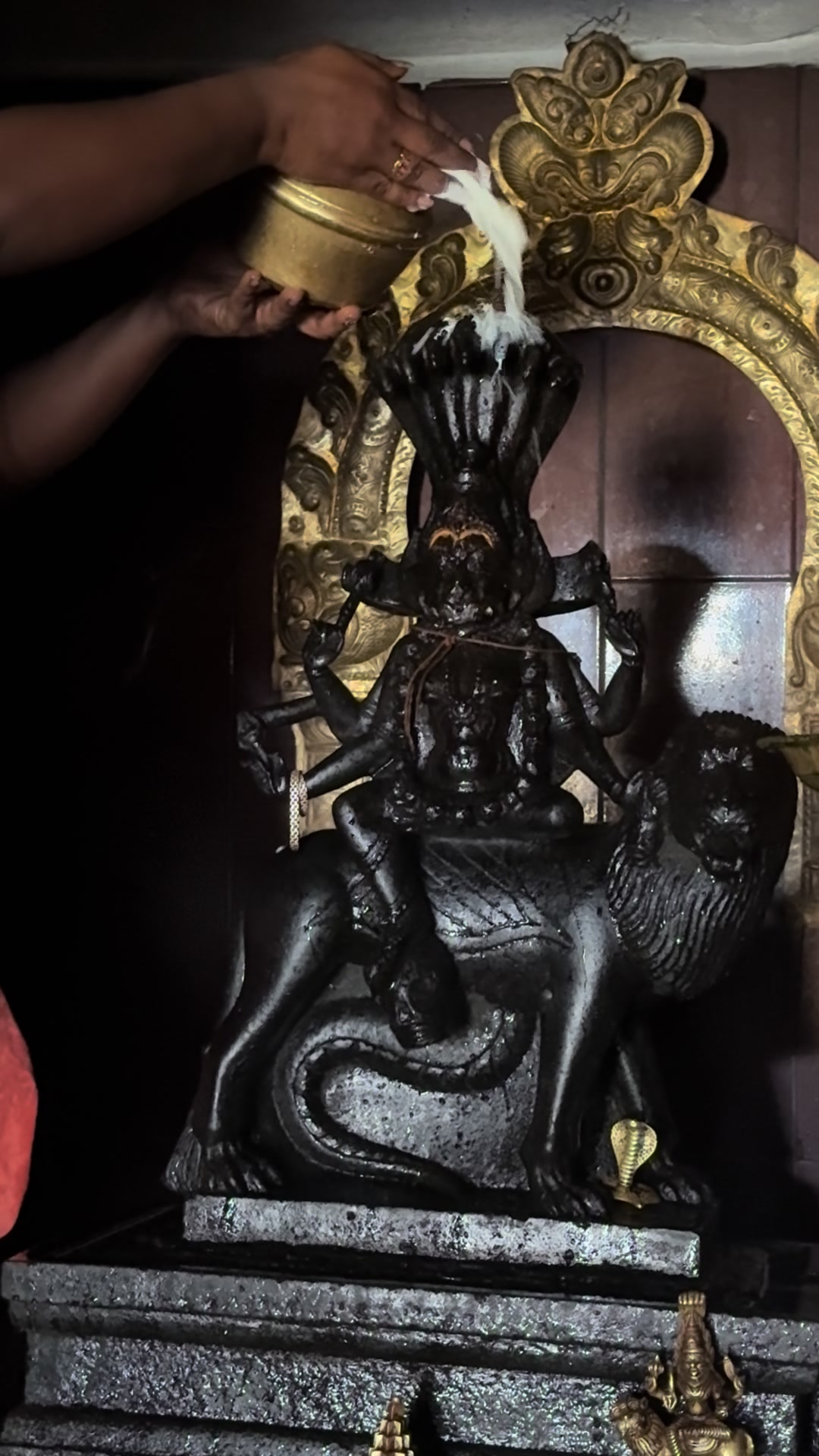 @pratyangirakovil