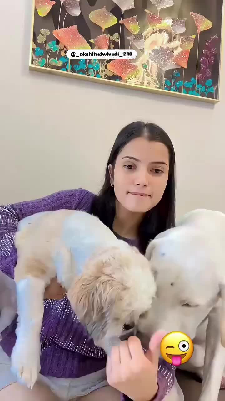 @AkshitaDwivedi