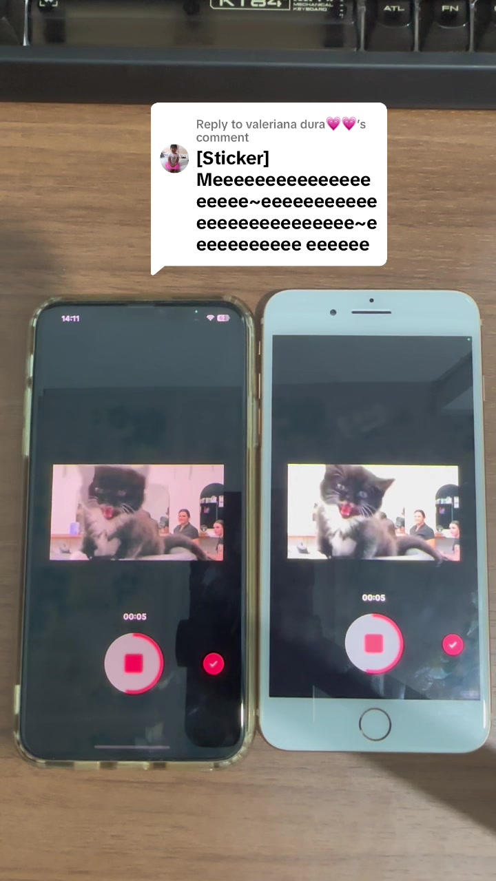 @Mr.3 Pro Effect