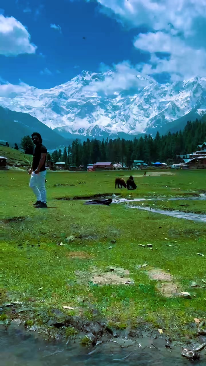 @Fakhar Alam