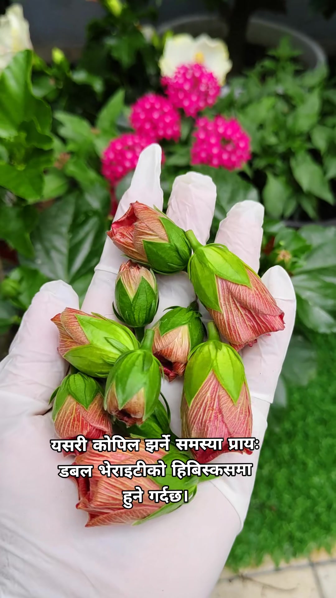 @poonam_shah 🧿🍀